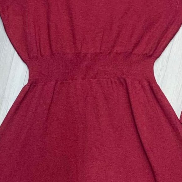 Short Flared Dress with Long Sleeves, Waist Cinching, and Bow Detail at the Neck - Picture 5 of 5